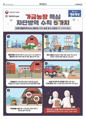 이미지보기