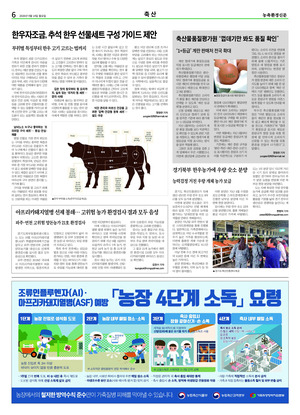 이미지보기