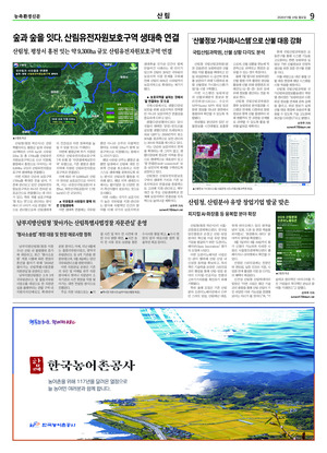 이미지보기